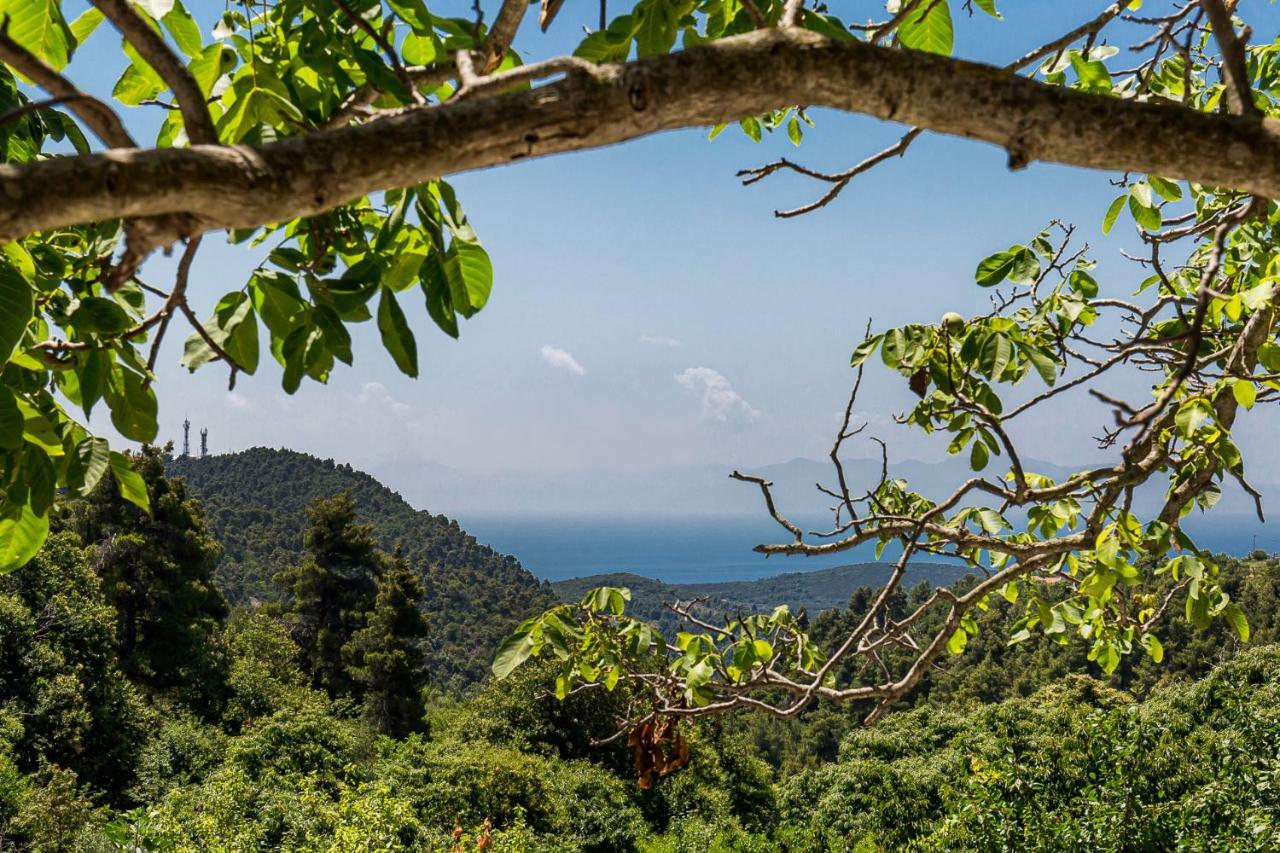 Pyrgos Country House Skopelos Zewnętrze zdjęcie